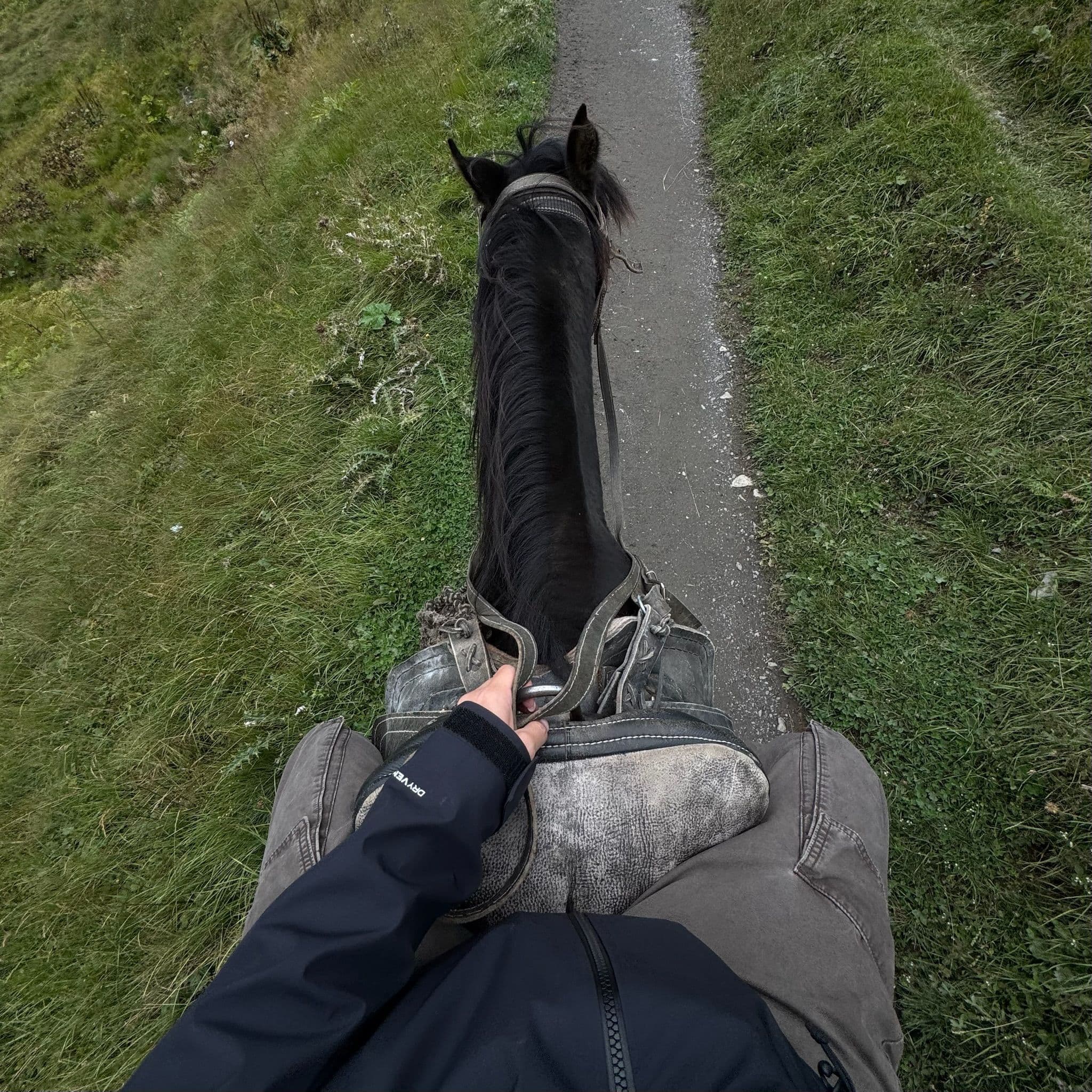 My hands on my horse's reign while sitting on the horse